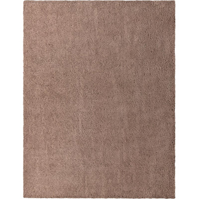 Indoor Rug
