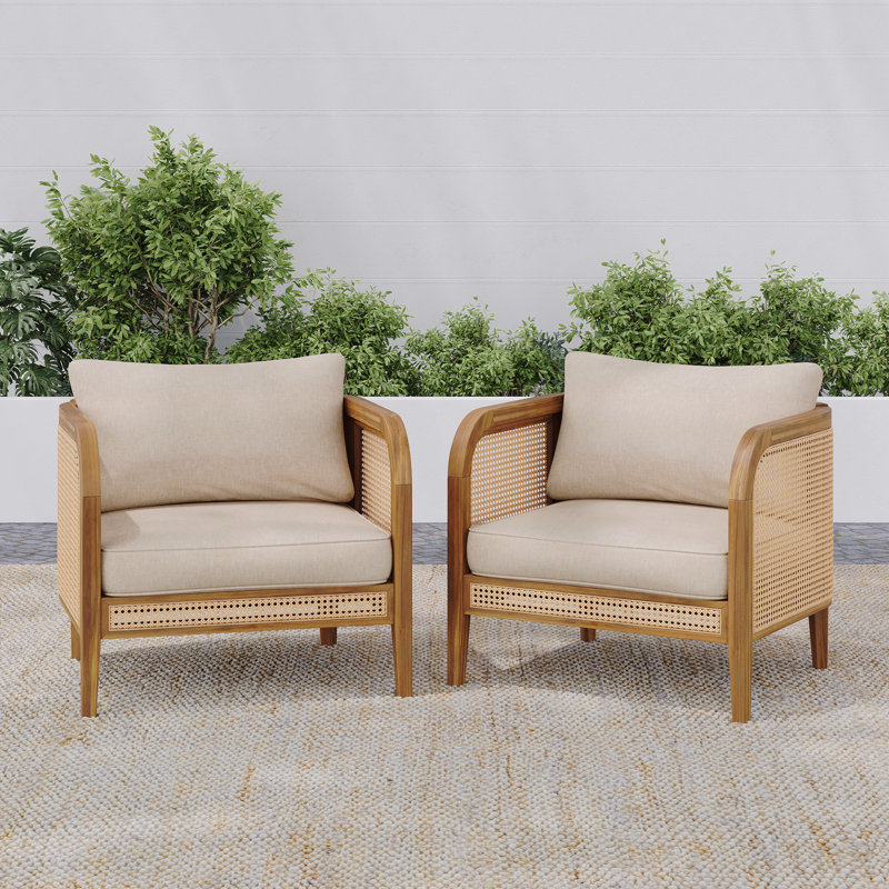 Chaise avec accoudoirs d'extérieur rembourrée, ensemble de 2