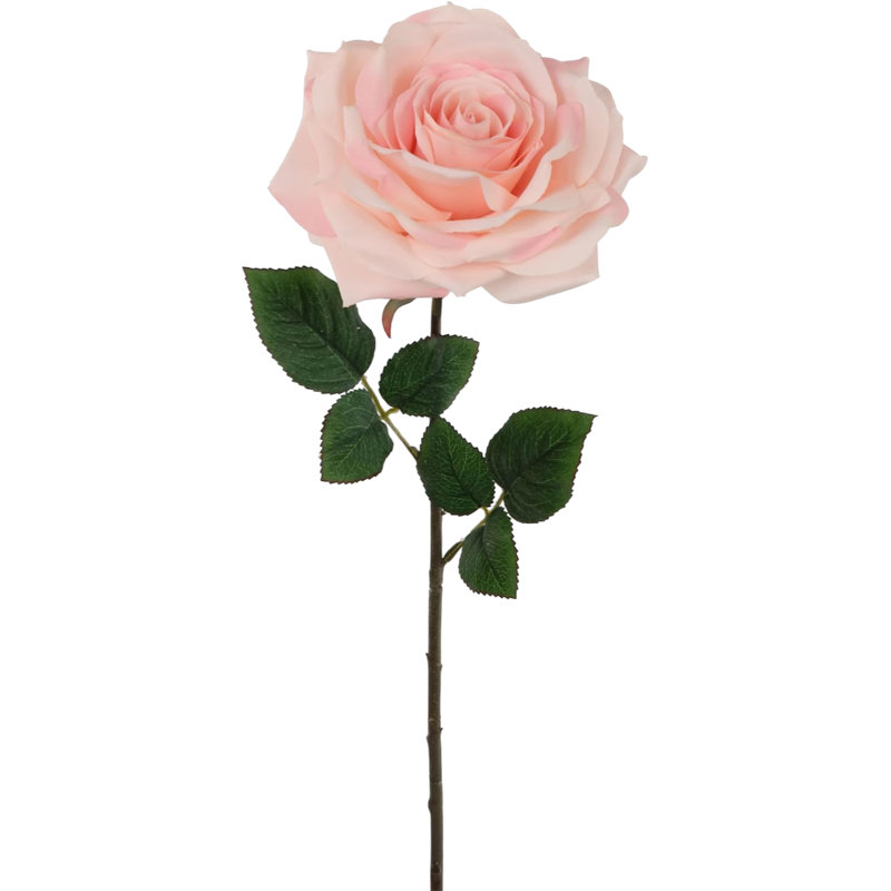 Tige de rose ouverte 20 po - paquet de 4