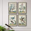 «Pastel Birds I», toile encadrée de qualité supérieure - prête à être accrochée-794121035-794121034