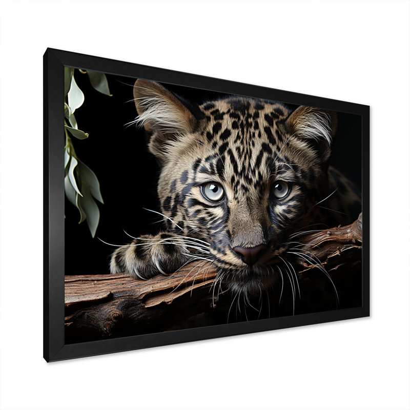 Léopards, élégance gracieuse sur toile, H 12 po x l 20 po x P 1 po, Cadre simple noir
