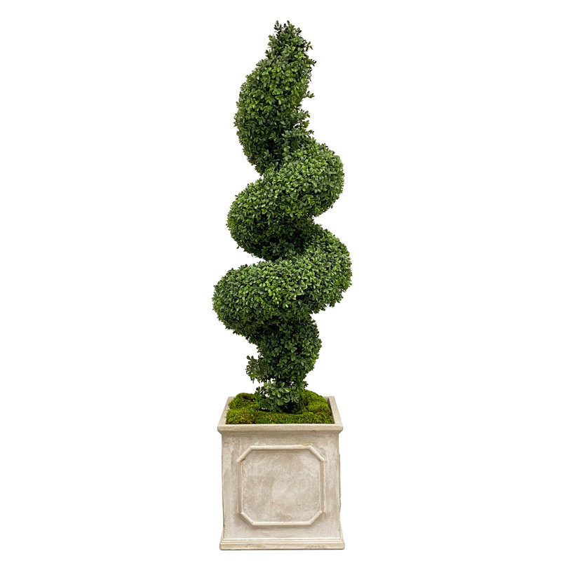 Boxwood Topiary in Fiberstone Planter, 65" H x 17" W x 17" D