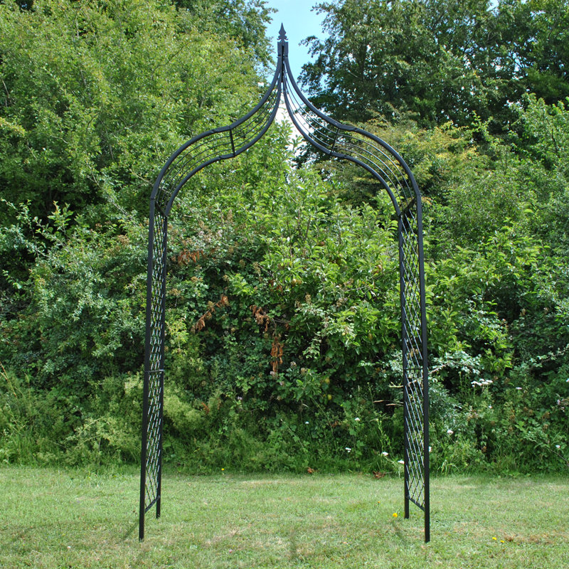 Ahonesti 115cm W x 45cm D Metal Arbour with Gate in Black