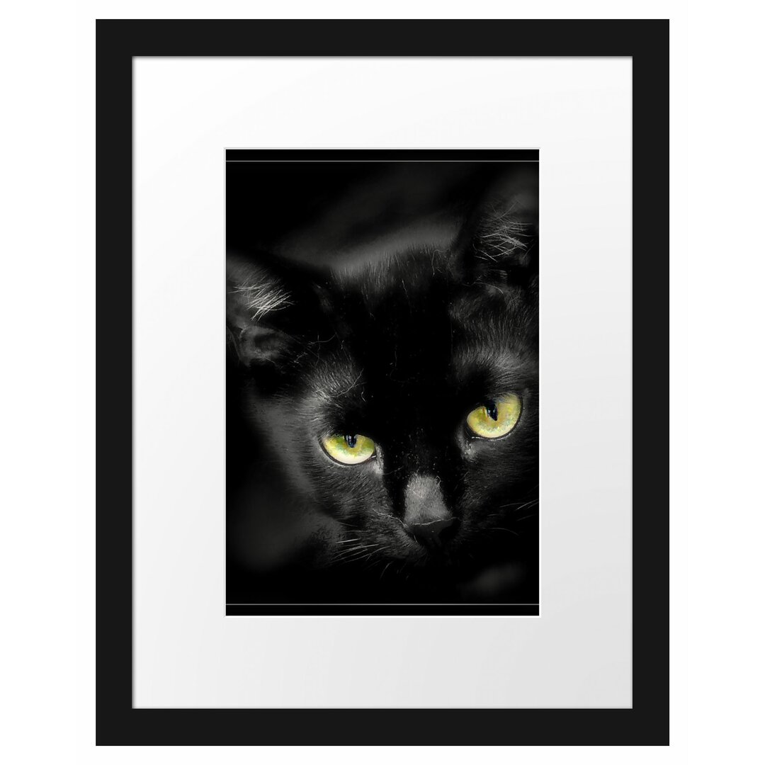 Gerahmtes Poster Schöne schwarze Katze