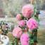 Fleurs décoratives (assorties de 7 po) 6 pièces de papier de soie artificiel pivoine pour chambre de mariage, centre de table de mariage