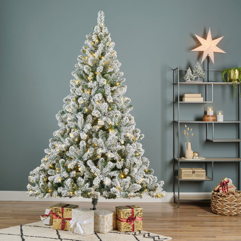 Lighted Trees & Branches