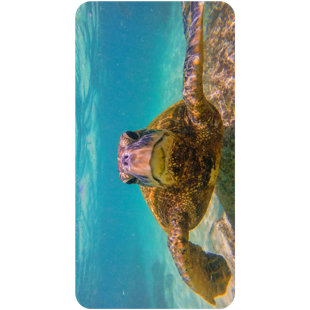 VersaTraction's Kahuna Grip Bathmat - Stone Picture Frame 1, 1