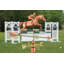 Girouette de cheval et de conducteur