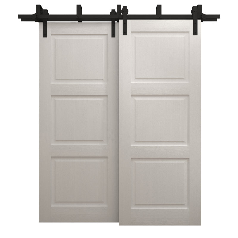 Portes coulissantes de grange coulissantes pour garde-robe | Ego 5010 | Ensemble de quincaillerie Modern Rails | Portes de garde-robe de chambre en bois massif