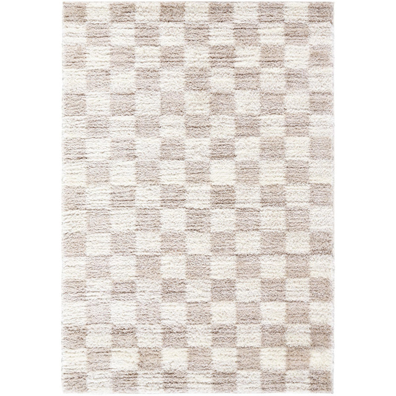 Aarno Modern Machine Woven Area Rug, Rectangle 5'3" x 7'