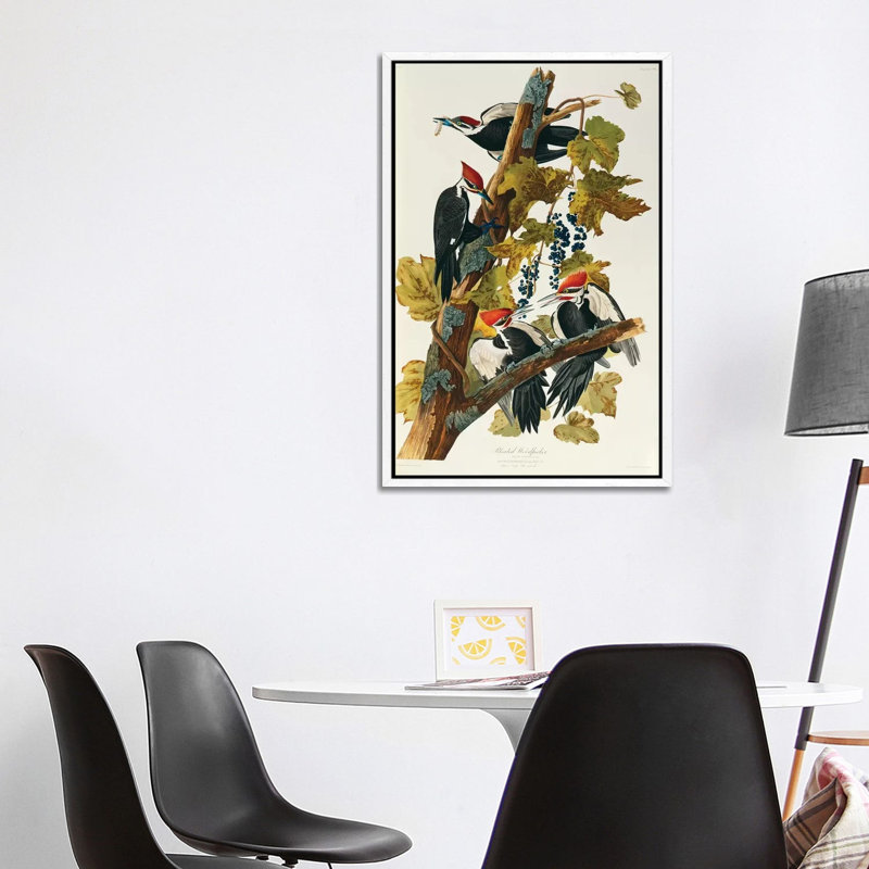 Pileated Woodpecker (Plate 111, Birds Of America) by John Audubon - Print on Canvas, 101.6 cm H x 66.04 cm W, White Framed