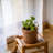 Indoor / Outdoor Pot Planter-376627250