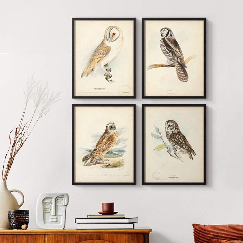 Barn Owl, reproduction encadrée - ensemble de 4, Noir, H 28 po x l 22 po