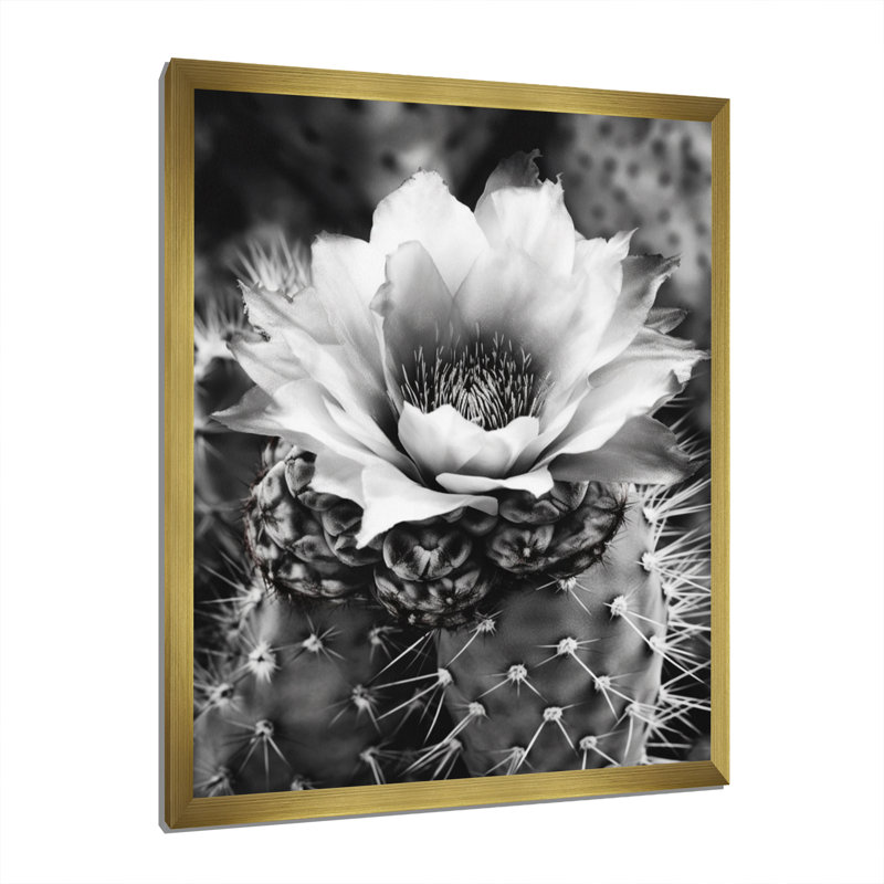 Naythen Gray Desert Cactus I sur toile, H 20 po x l 12 po x P 1 po, Encadrement doré