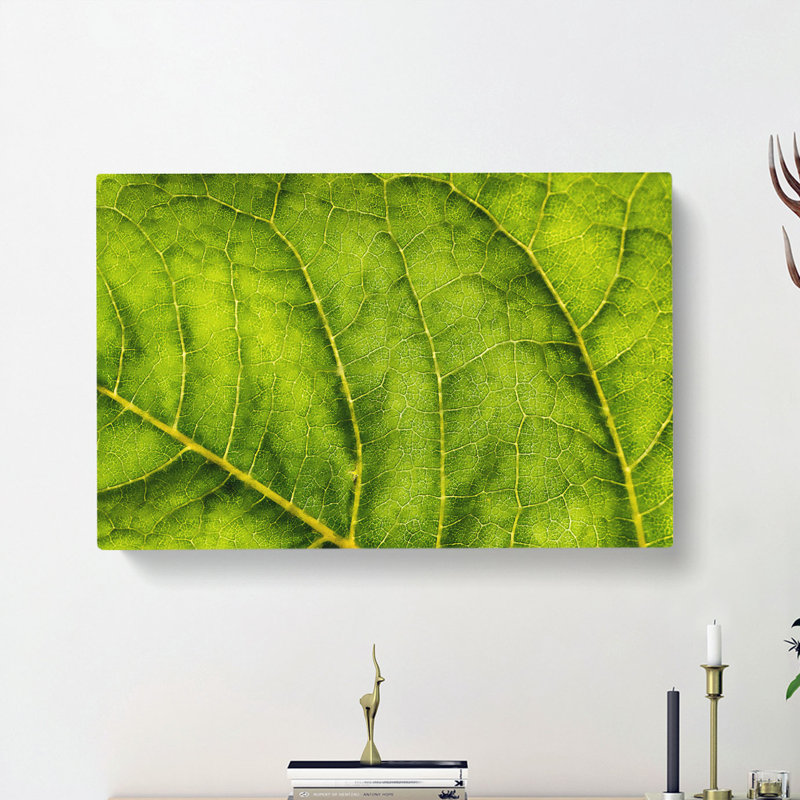 Leaf Veins - Wrapped Canvas, 60cm H x 91cm W x 3cm D