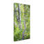 "Hide and Seek" par Mandy Budan, reproduction d'art sur toile tendue-14743348