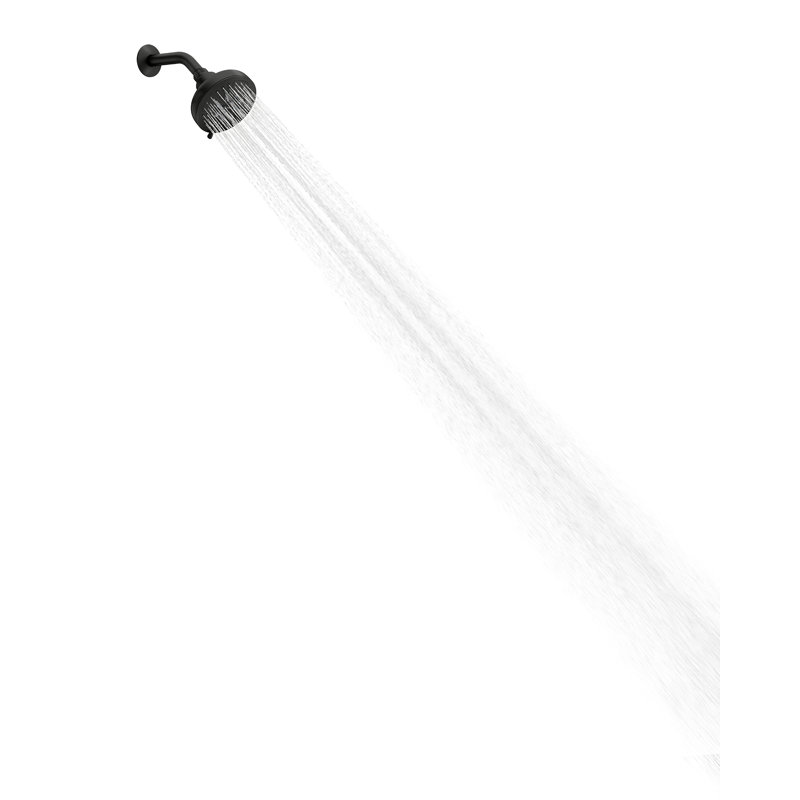 Hydro Energetix Eight Function Spray Head, Matte Black