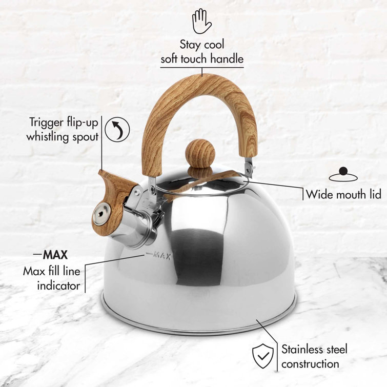 Stainless Steel Whistling Tea Kettle With Flip Spout