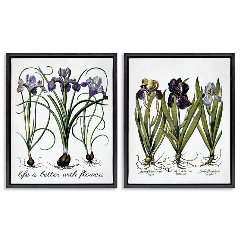 «Better with Flowers Iris Bulb», ensemble de 2 toiles flottantes encadrées par lettres et doublures, H 31 po x l 25 po