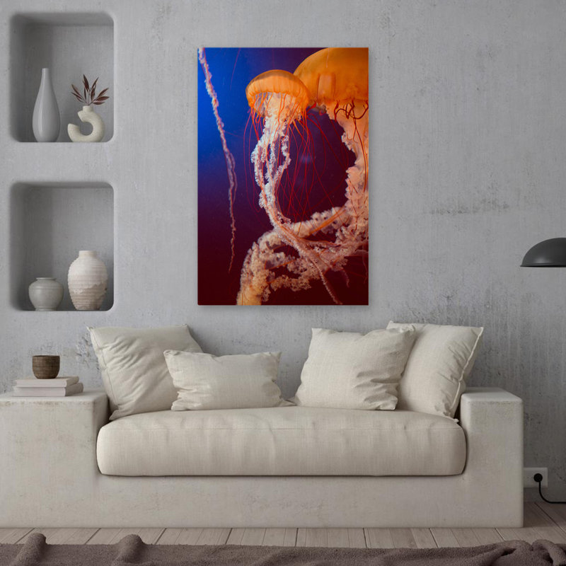 Jelly 3 - photographie d'art animalier, H 36 po x l 24 po