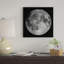 «Full Moon» par Roth Ritter, impression sur toile tendue-31985124-73798152-73798153