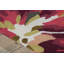 Asiha Floral Indoor Rug-19765893