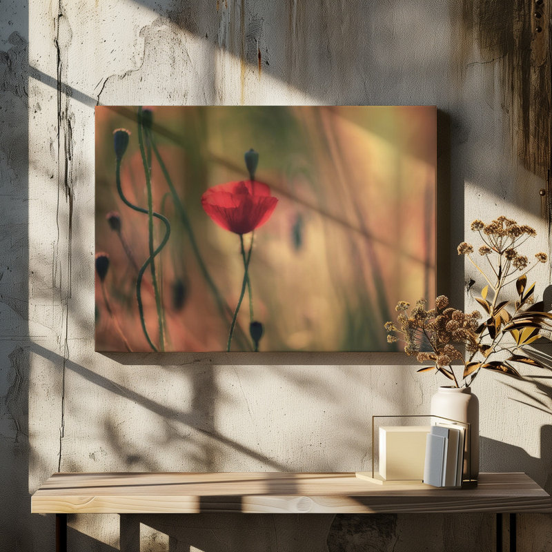 1 Piece Wrapped Canvas Wall Art, 60.96 cm H x 91.44 cm W
