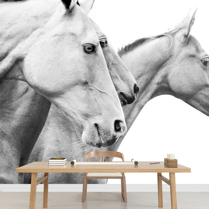 Grand papier peint auto-adhésif Purebred Horses, L 66 po x l 96 po