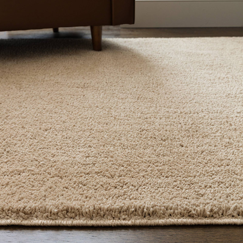 Ronalee Recycled P.E.T Machine Tufted Shag Area Rug, Rectangle 67 x 130 cm, Beige