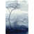 Glass Coat