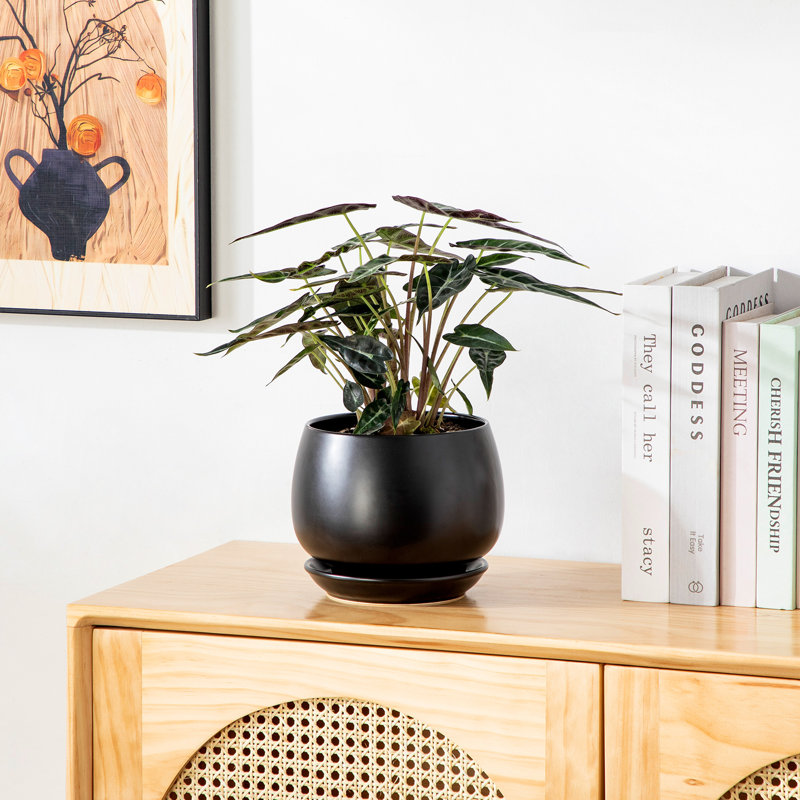 TYHPOT Ceramic Pot Planter, Black