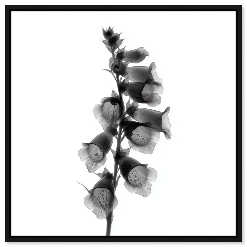 Ossified Petals II Print by Oliver Gal, 31"H x 31"W, Black Floater Frame