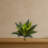 Agave Succulent Artificial Plant