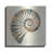 " Shell I " by Studio Mousseau