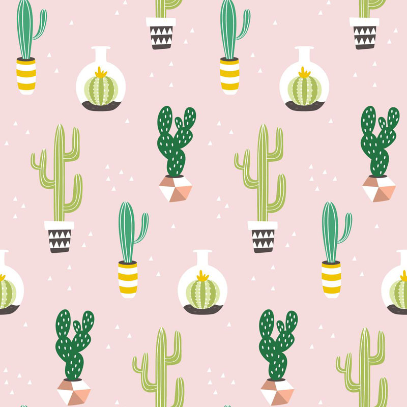 Rouleau de papier peint adhésif 8,5 pi L x 24 po Alzira Cactus