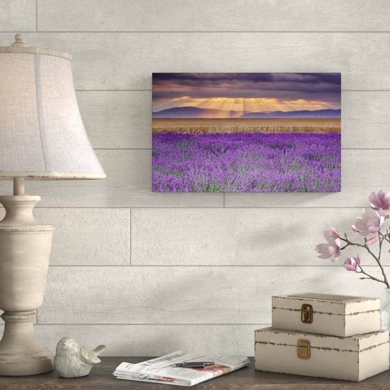 « lavandest », reproduction de photo sur toile tendue, H 22 po x l 32 po x P 2 po