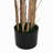 70" Artificial Bamboo With Pot