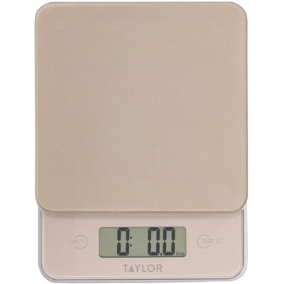 Taylor Digital Scale
