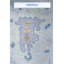 One-of-a-Kind Rectangle 9'11" X 14' Area Rug
