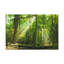 No Frame Print on Canvas-891454431