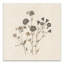 Impression sur toile botanique gris anthracite-1508161417