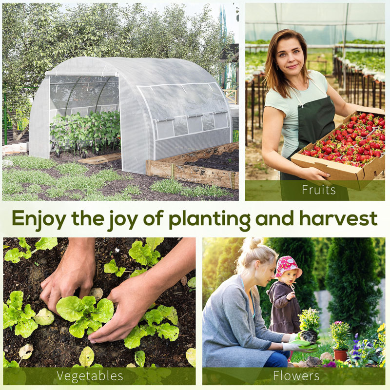 Annot 25 Ft W x 25 Ft D Hobby Greenhouse