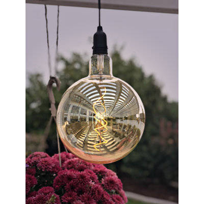 Luminaire suspendu d'extérieur à DEL 1 lumière Beideman