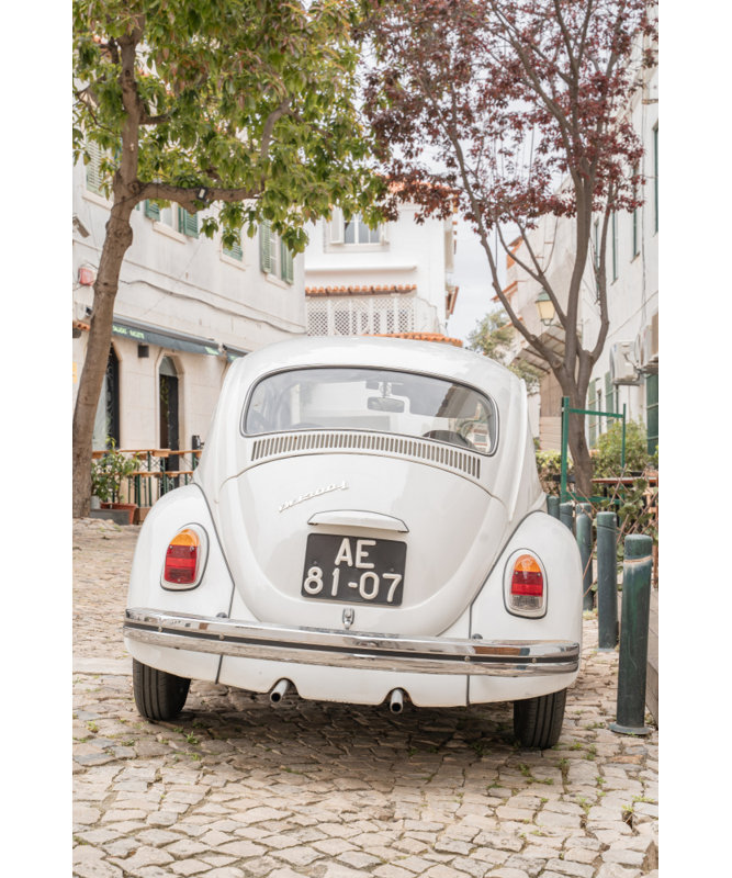 Wrapped Canvas Print, 76.2 cm H x 50.8 cm W