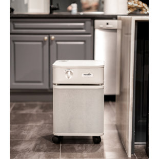 Purificateur d'air Austin Air Healthmate