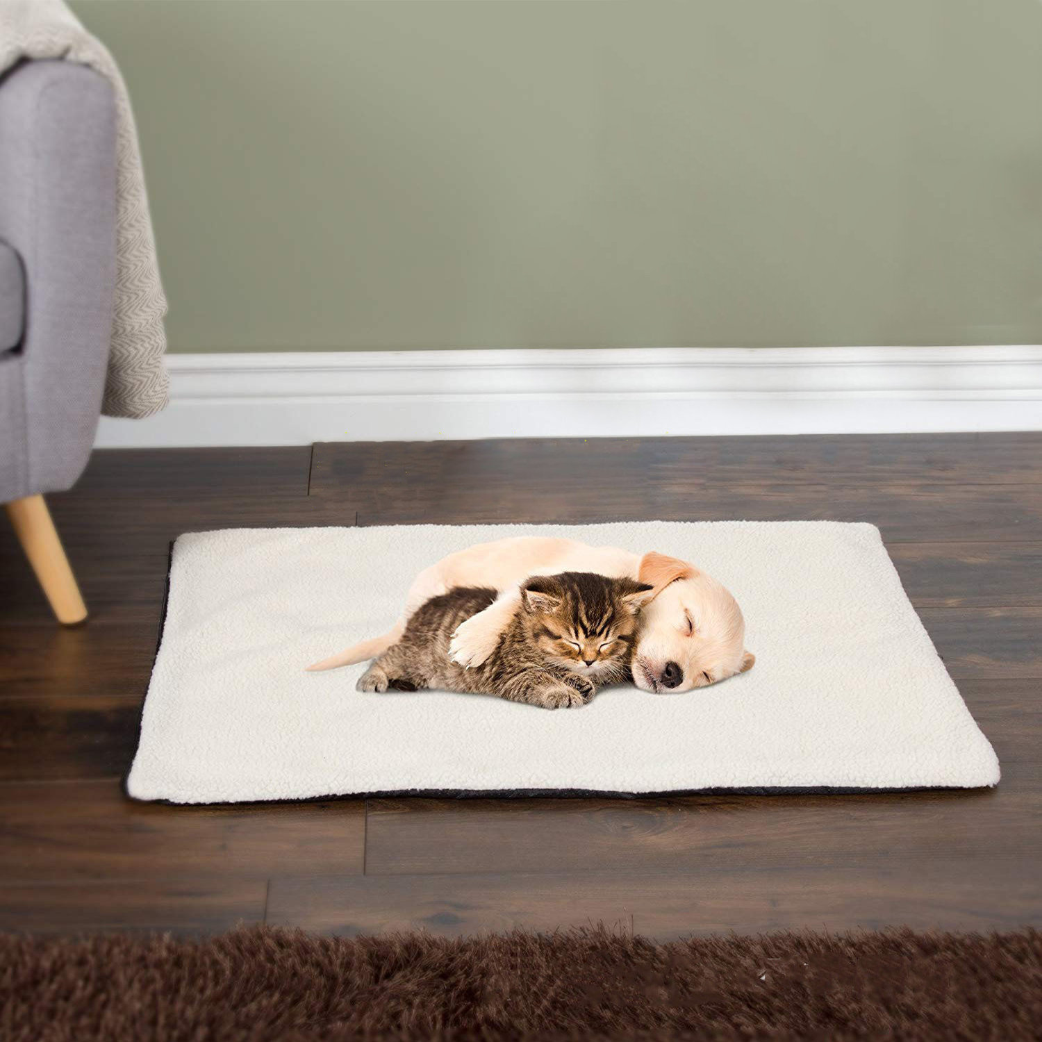 Tucker Murphy Pet™ Carmella Self Warming Thermal Pet Crate Pad