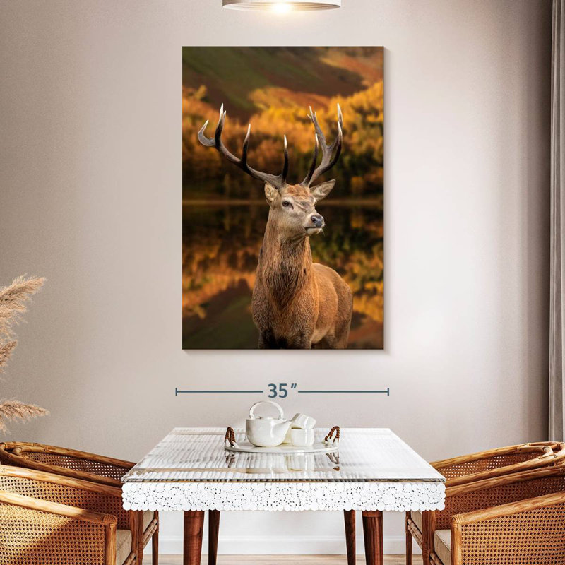 Brampt Mighty Stag Deer, 51" H x 34" W