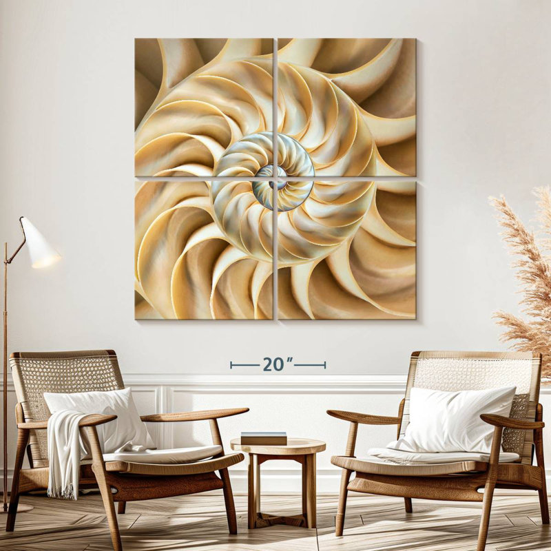 Aletra Nautilus Symmetry