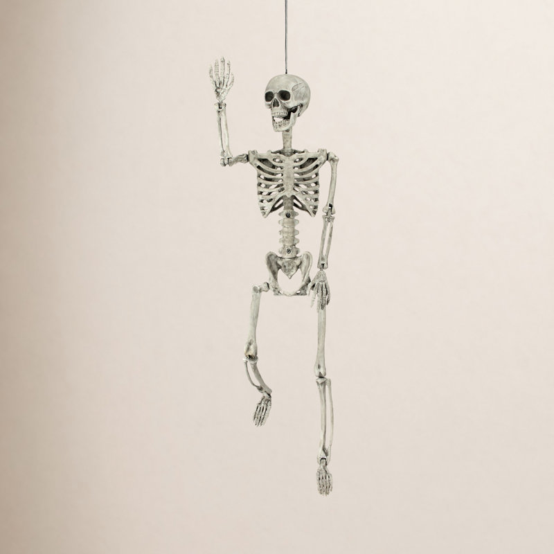 36" Plastic Skeleton, White