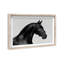 Midnight Majesty I Print by Oliver Gal-1313179940-1313179941